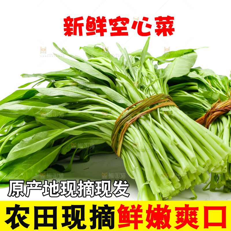 白底上放着新鲜空心菜
