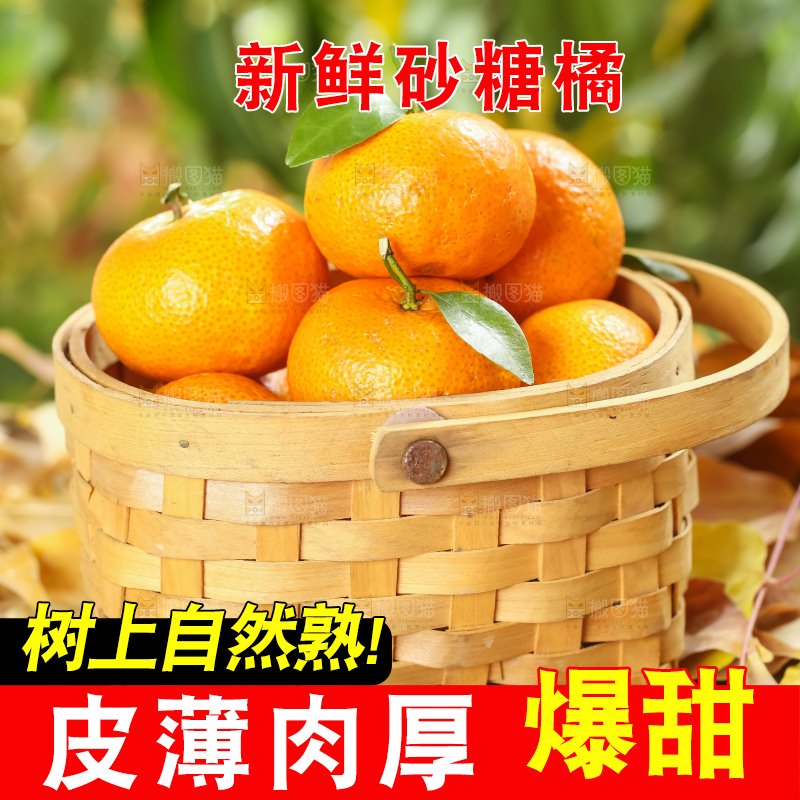 篮子里装着广西砂糖橘