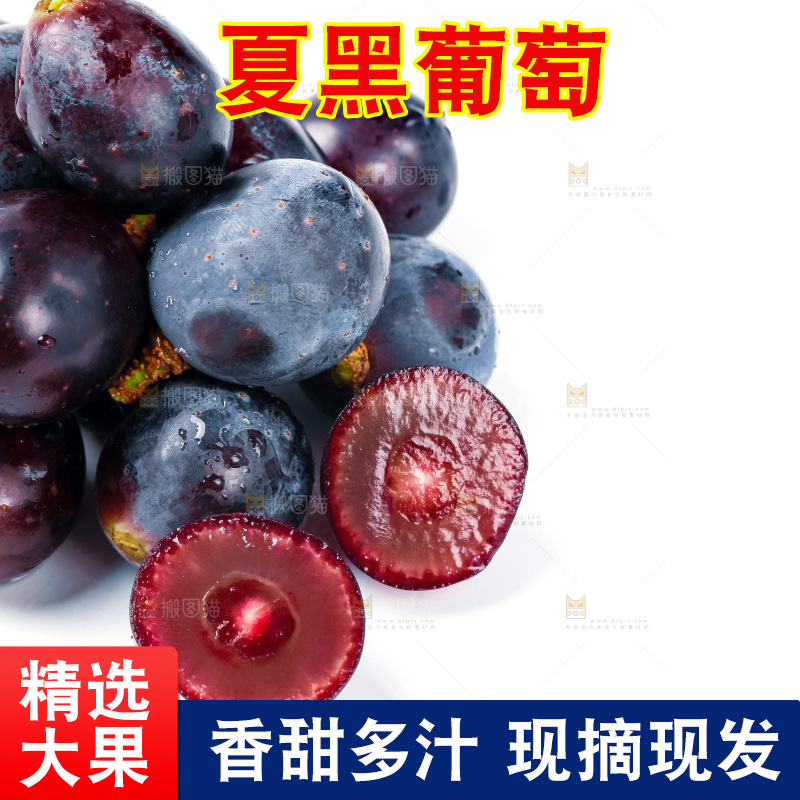 云南夏黑葡萄放在白底上