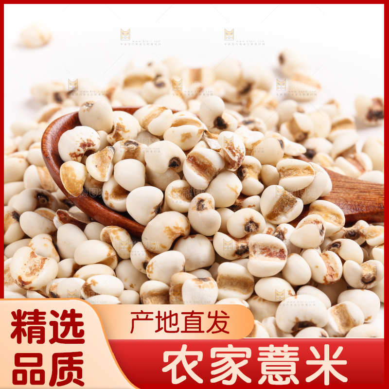 勺子里装着薏米