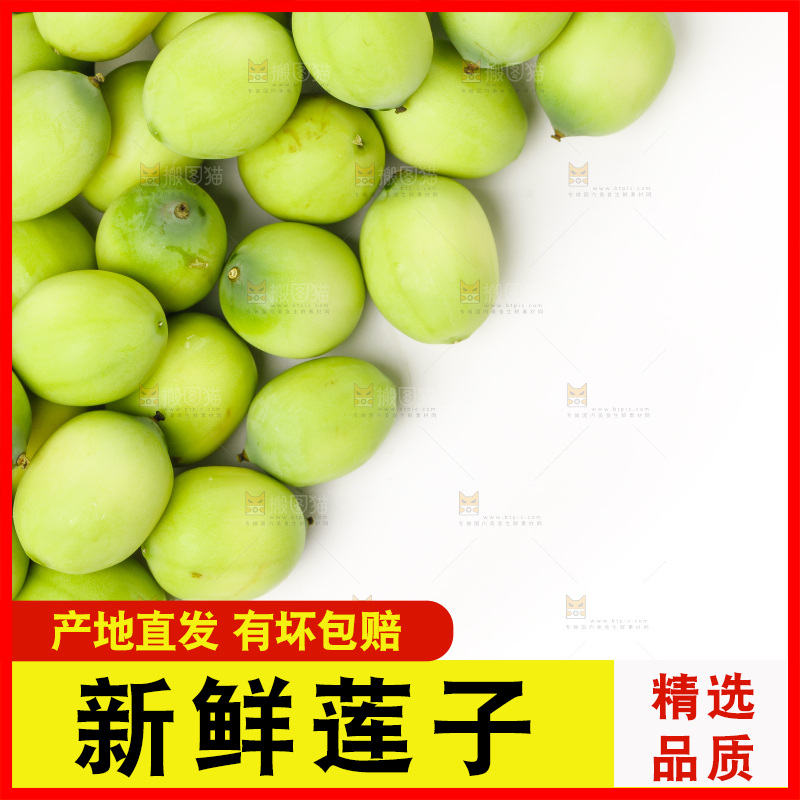 白底上放着湖北新鲜嫩莲子