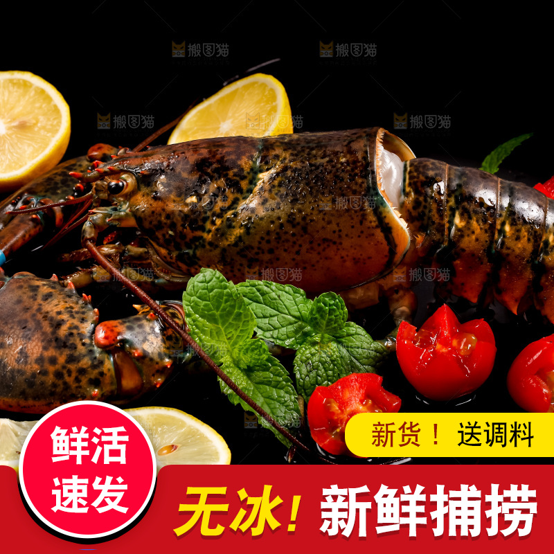 深底上放着澳洲龙虾