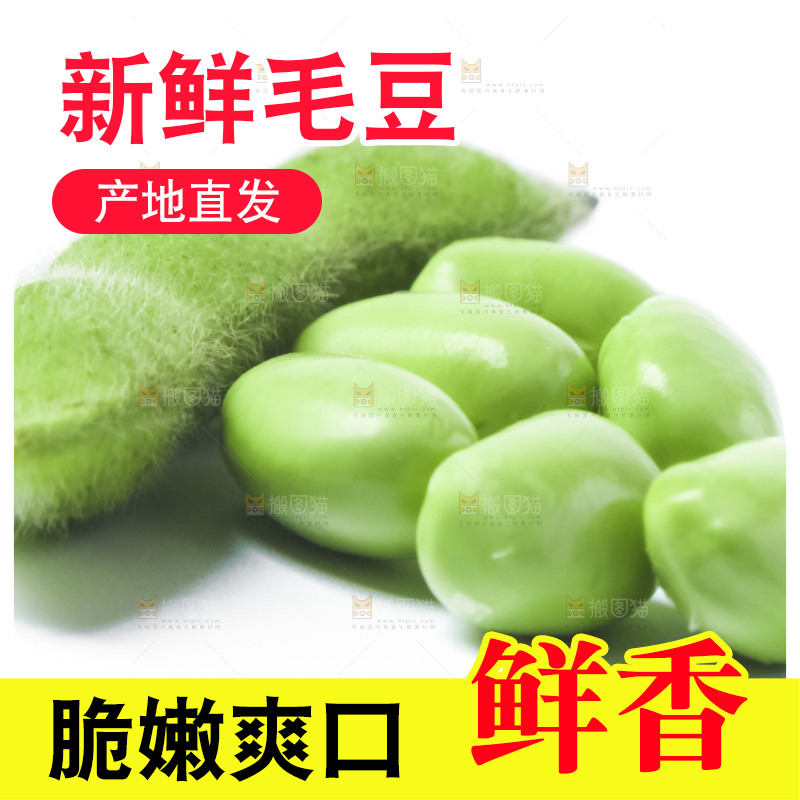 白底上的毛豆
