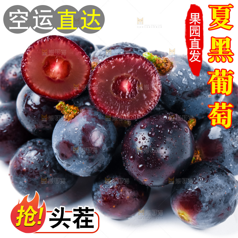 云南夏黑葡萄放在白底上