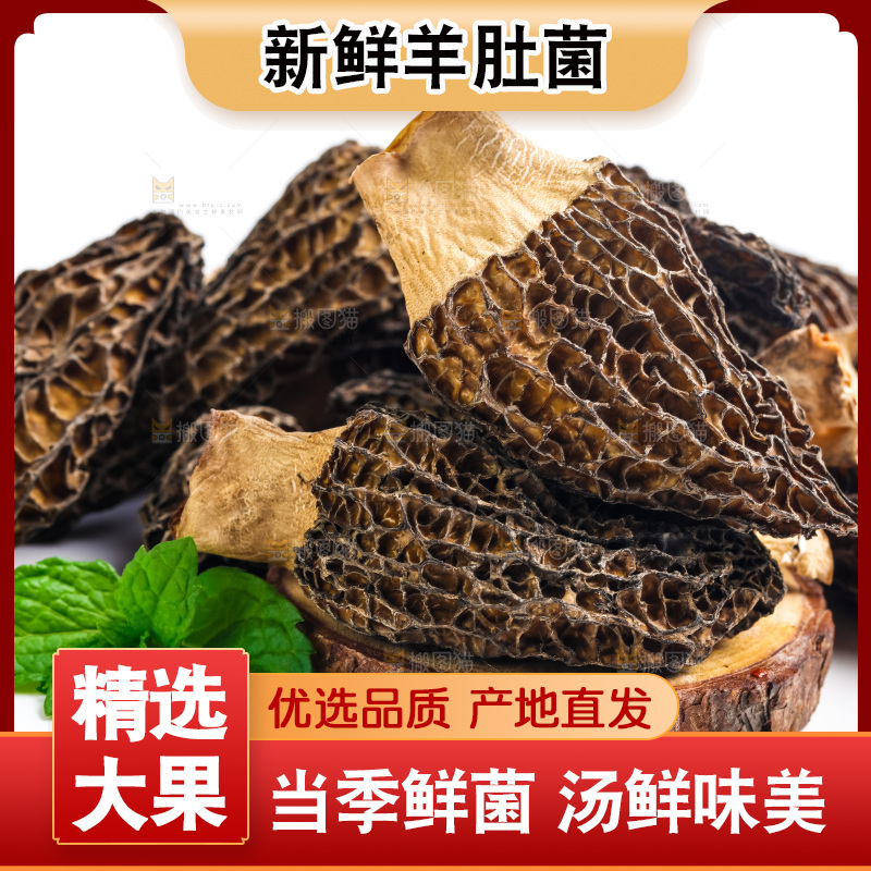 干羊肚菌放在浅底上