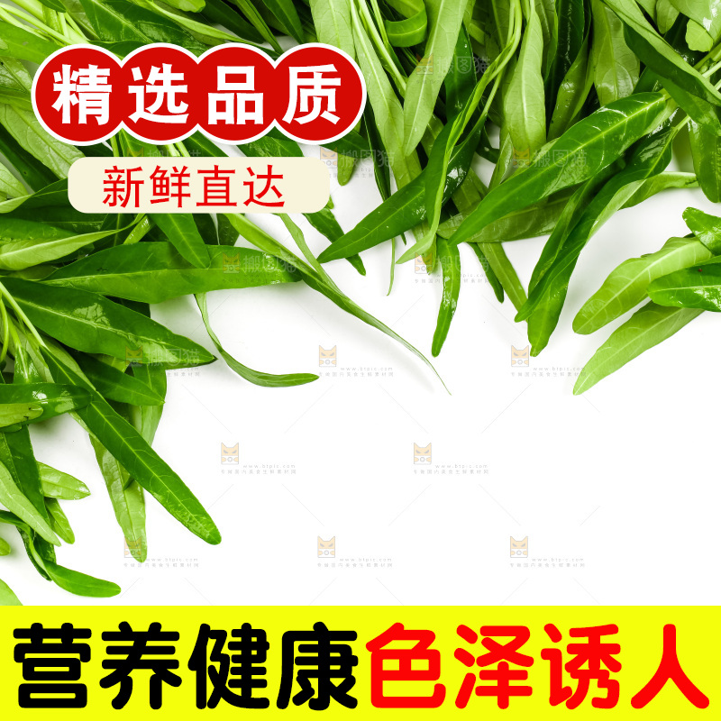白底上放着新鲜空心菜