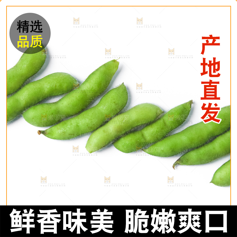 白底上的毛豆