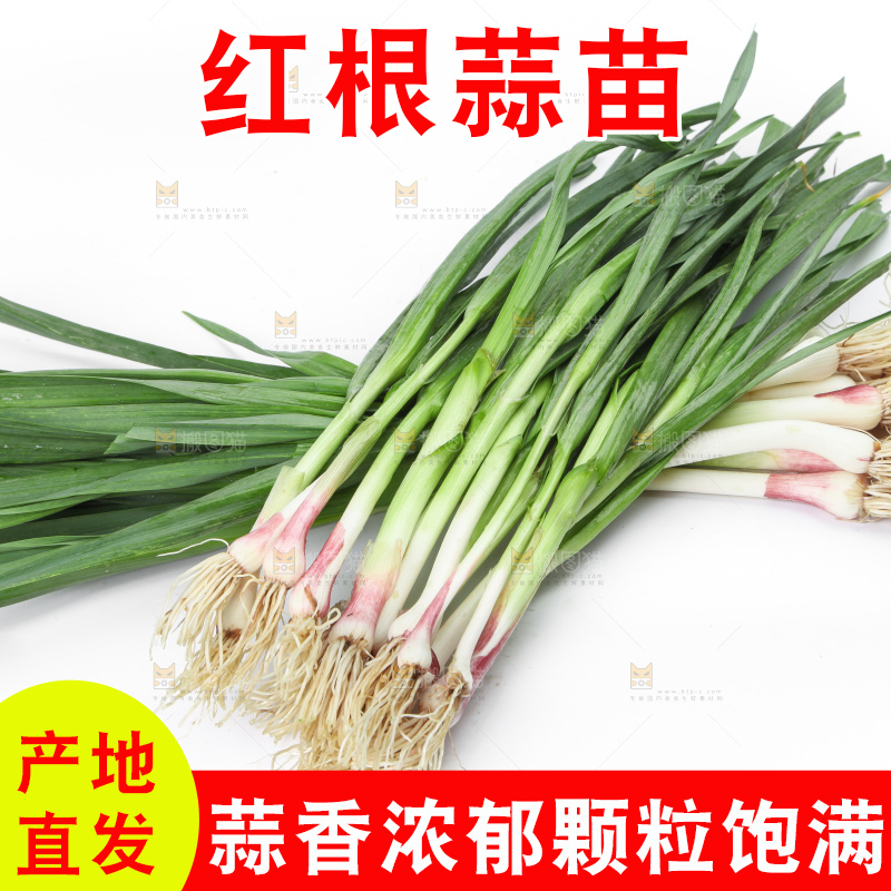 白底上放着蒜苗