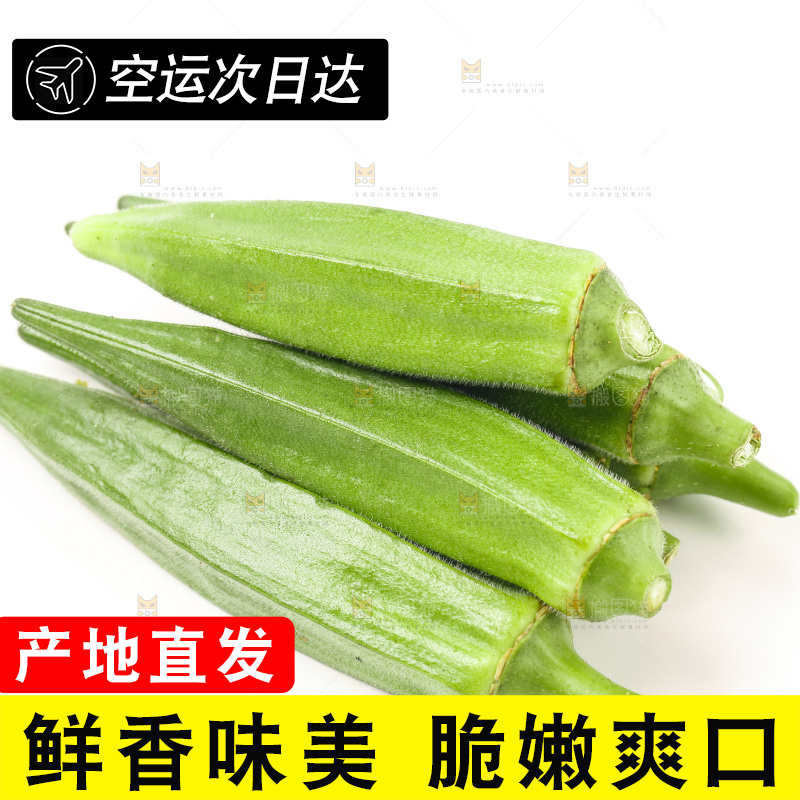 白底上的新鲜秋葵