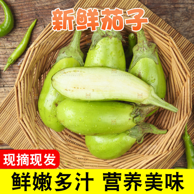 篮子里装着青皮茄子