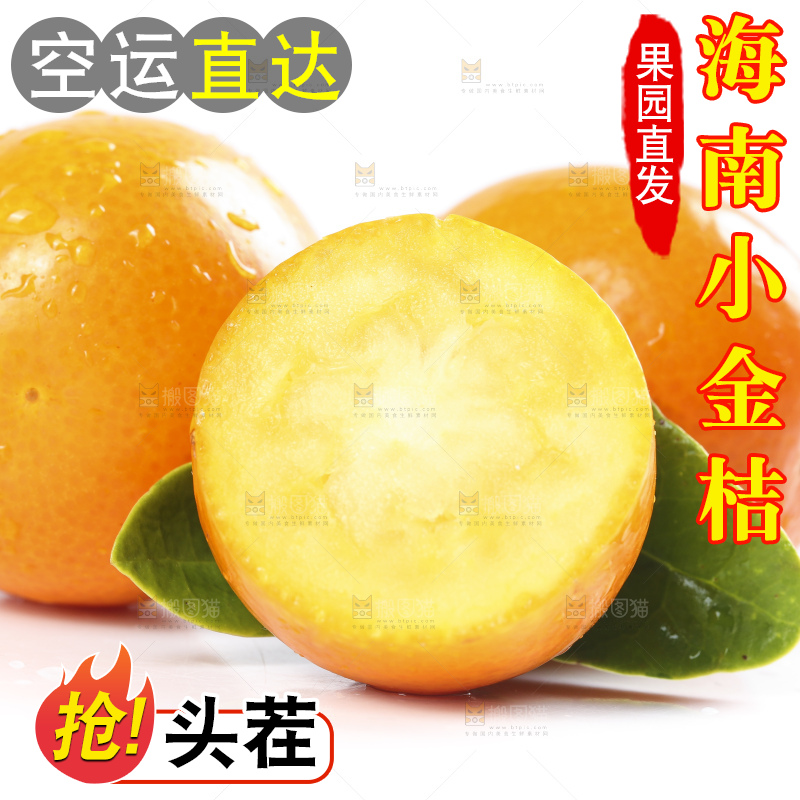 白底上摆放着新鲜金橘