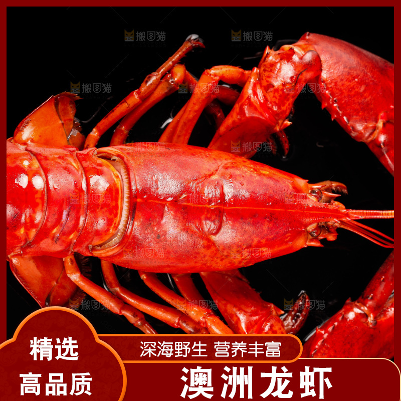 黑底上放着波士顿龙虾