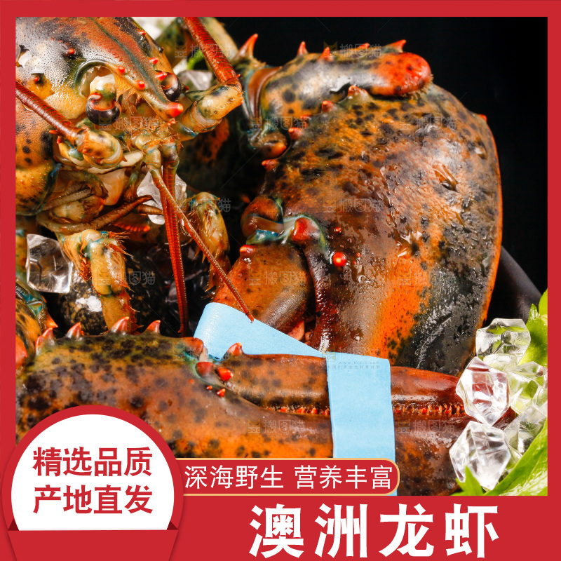 黑底上放着一盘大龙虾