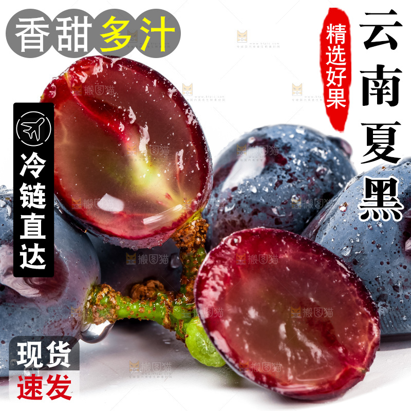 夏黑葡萄放在白底上