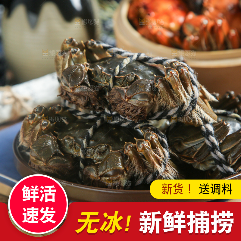 盘子里的鲜活螃蟹
