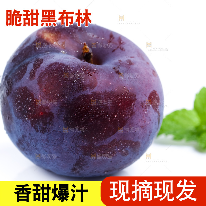 白底上放着陕西黑布林