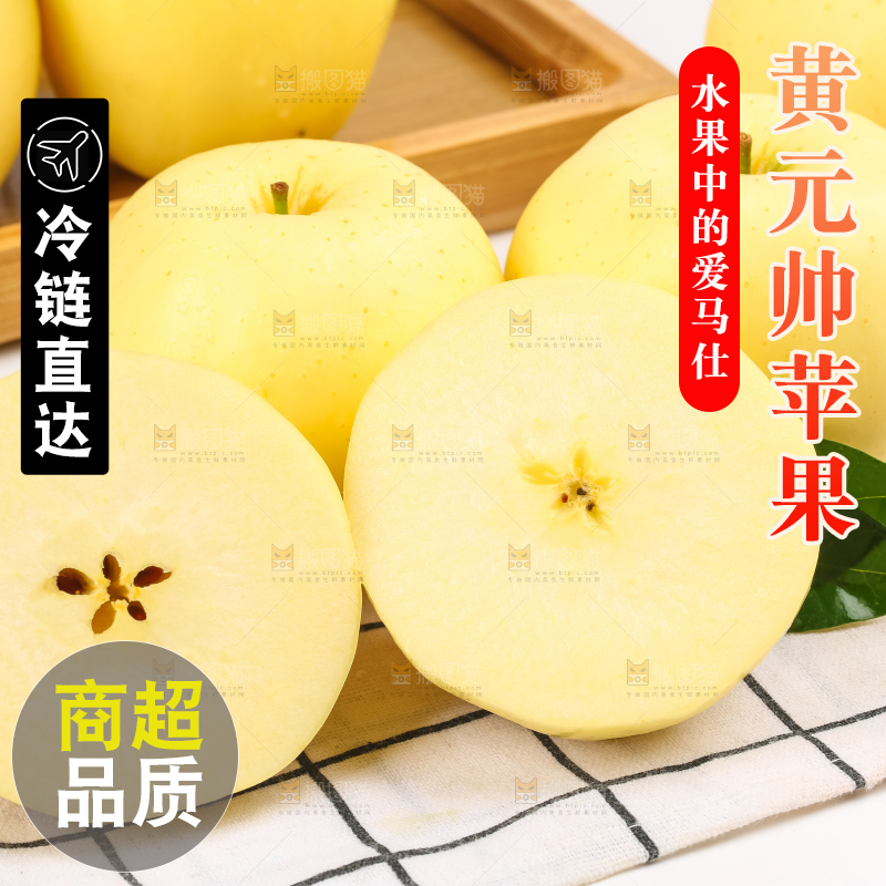 白格子底上的黄金帅