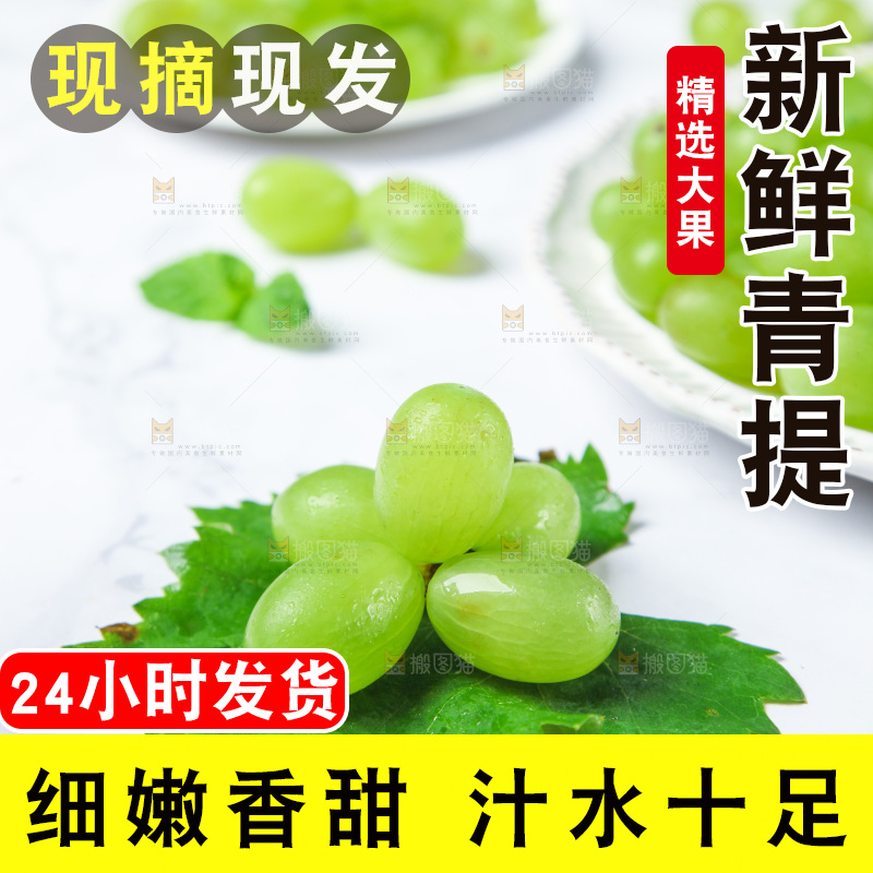 浅底上的青提