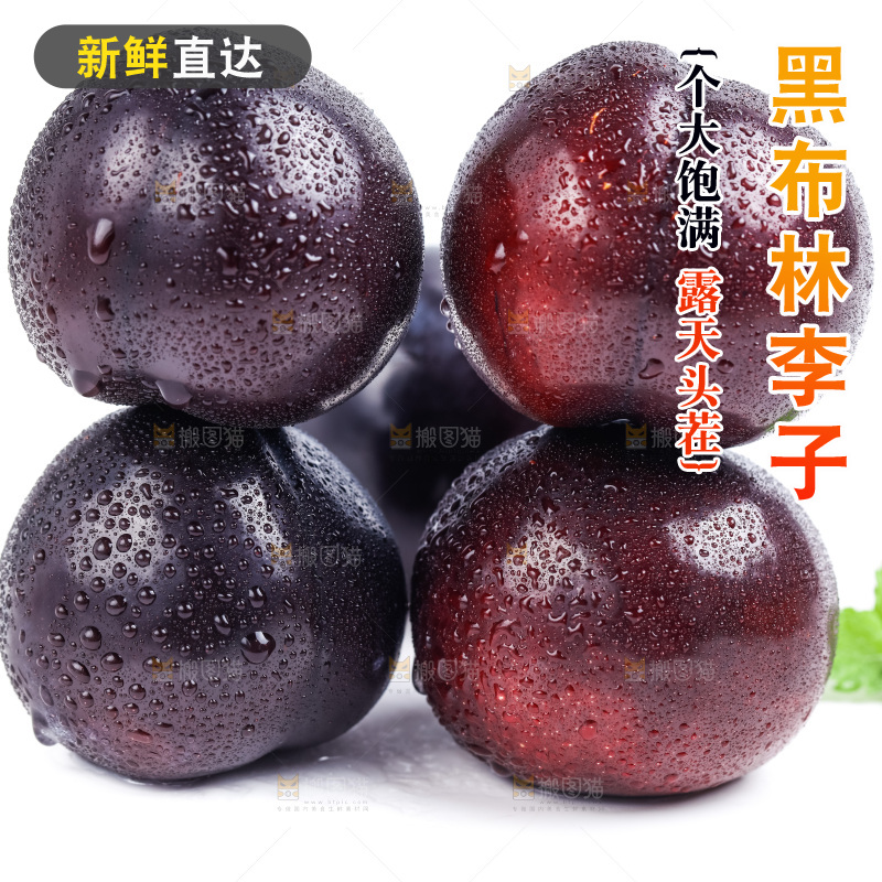 白底上放着陕西黑布林