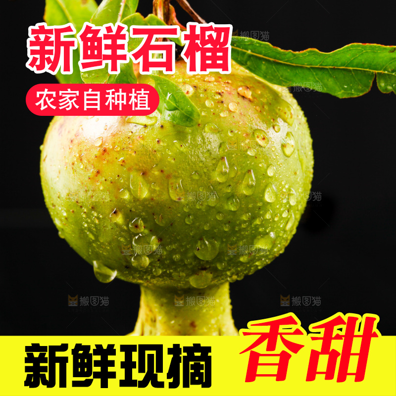 黑底上的软籽石榴