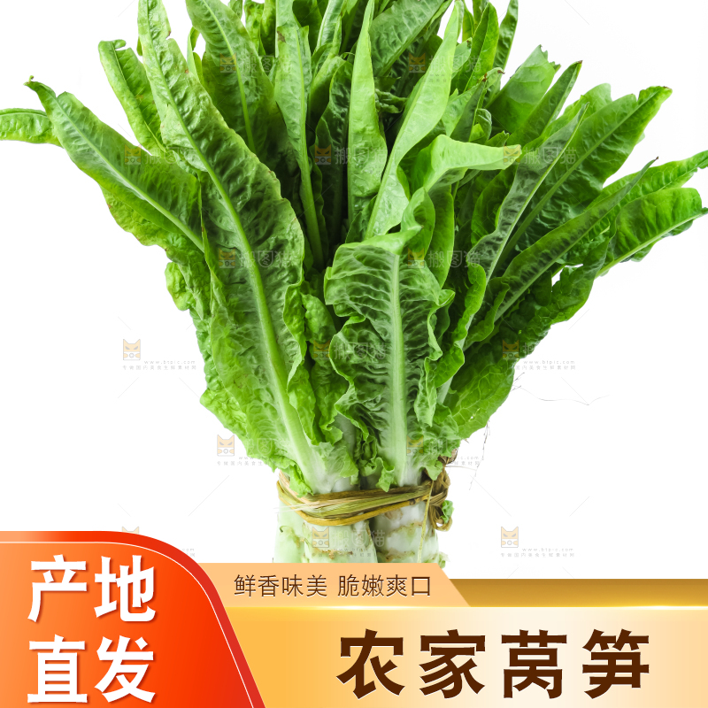 白底上的莴笋