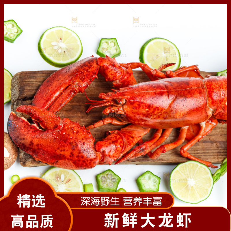 浅底上放着大龙虾