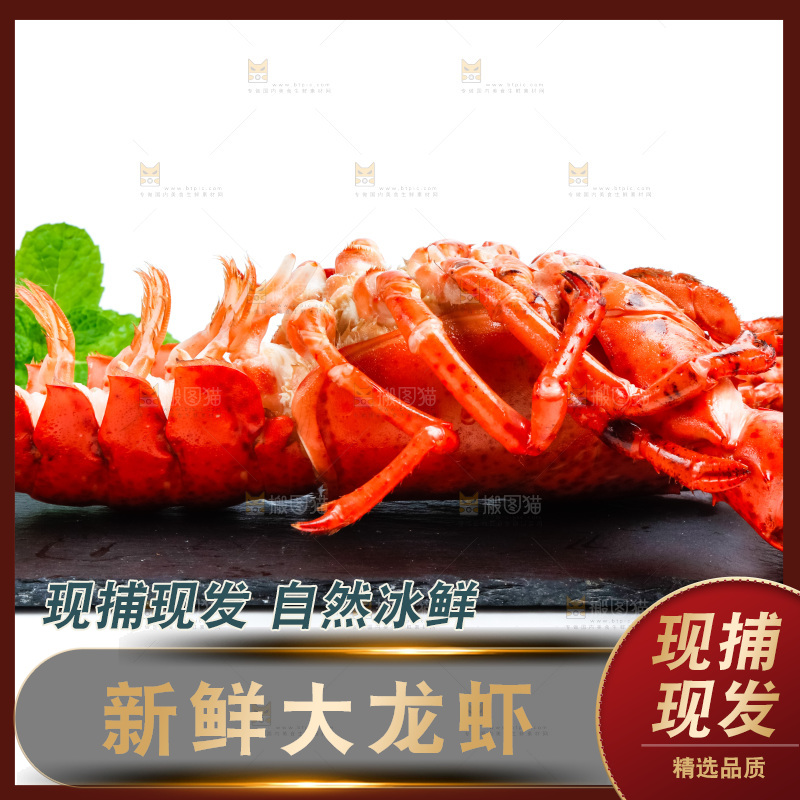 黑石板上的澳洲大龙虾
