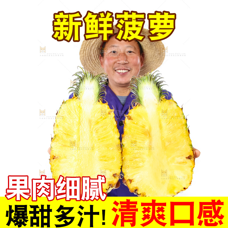 农民手里拿着香水菠萝