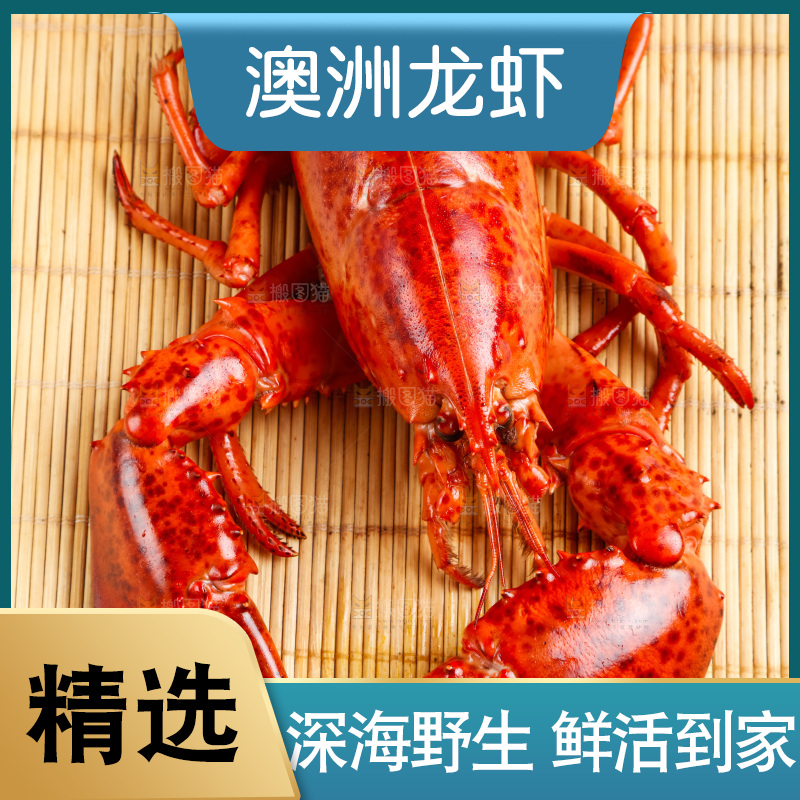 木底上放着波士顿大龙虾