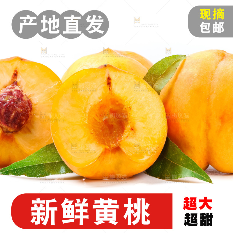 切开的山东黄桃放在白底上