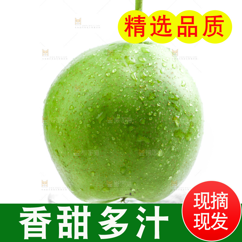 白底上的陕西早酥梨