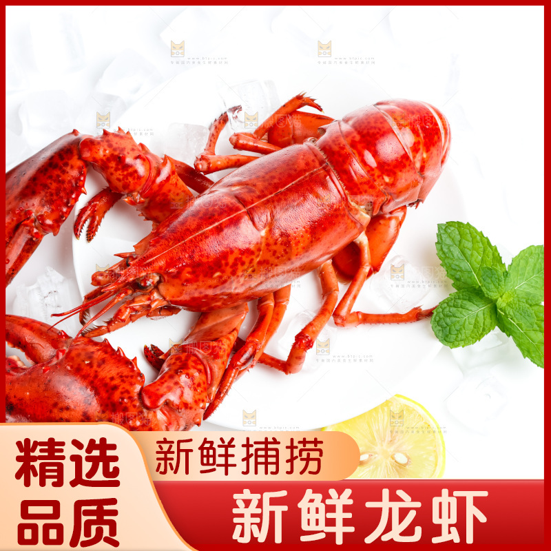 白底上放着大龙虾