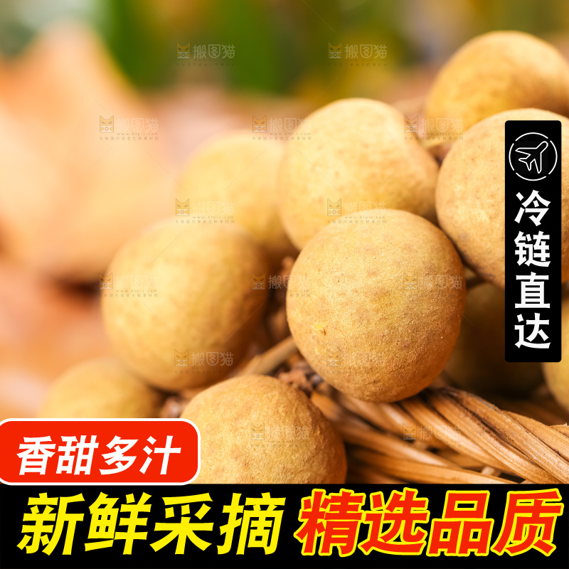 篮子里装着南平龙眼