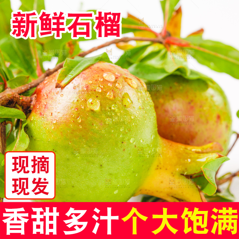 白底上的新鲜石榴