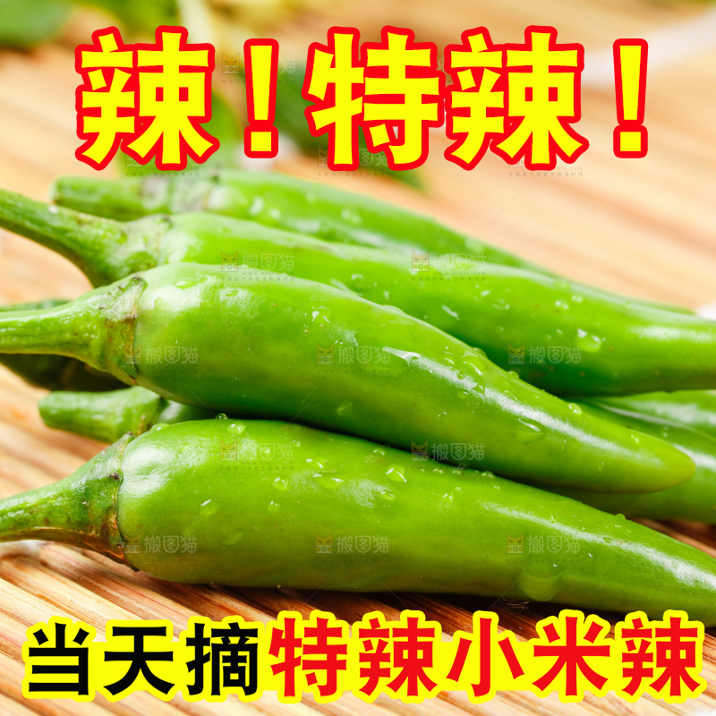 竹底上摆放着青米椒