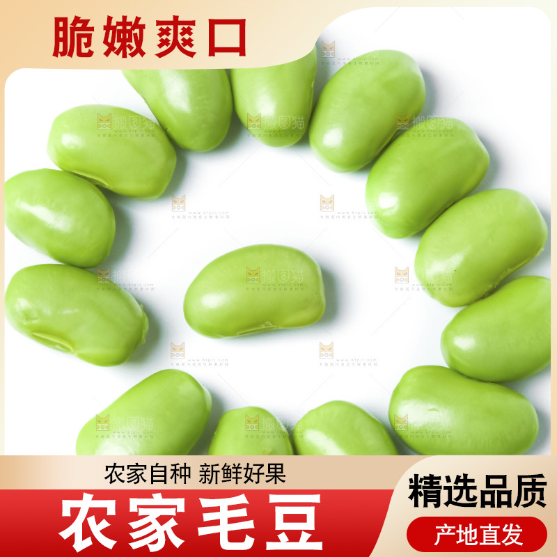 白底上的毛豆