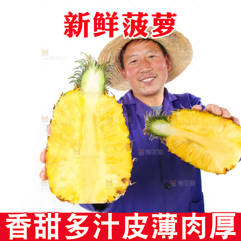 农民手里拿着香水菠萝