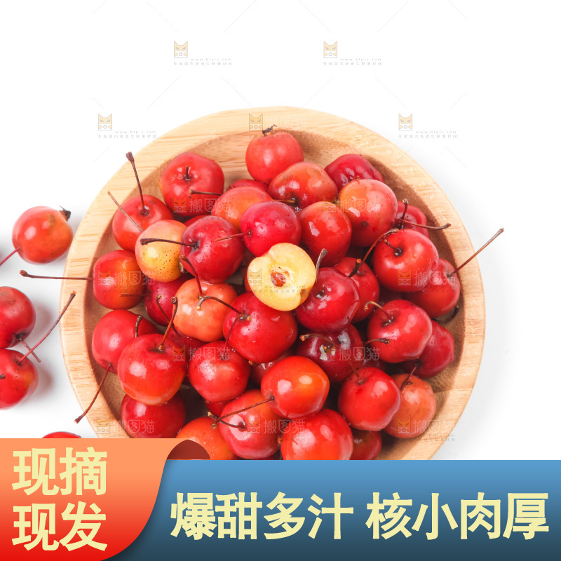 白底上放着东北海棠果