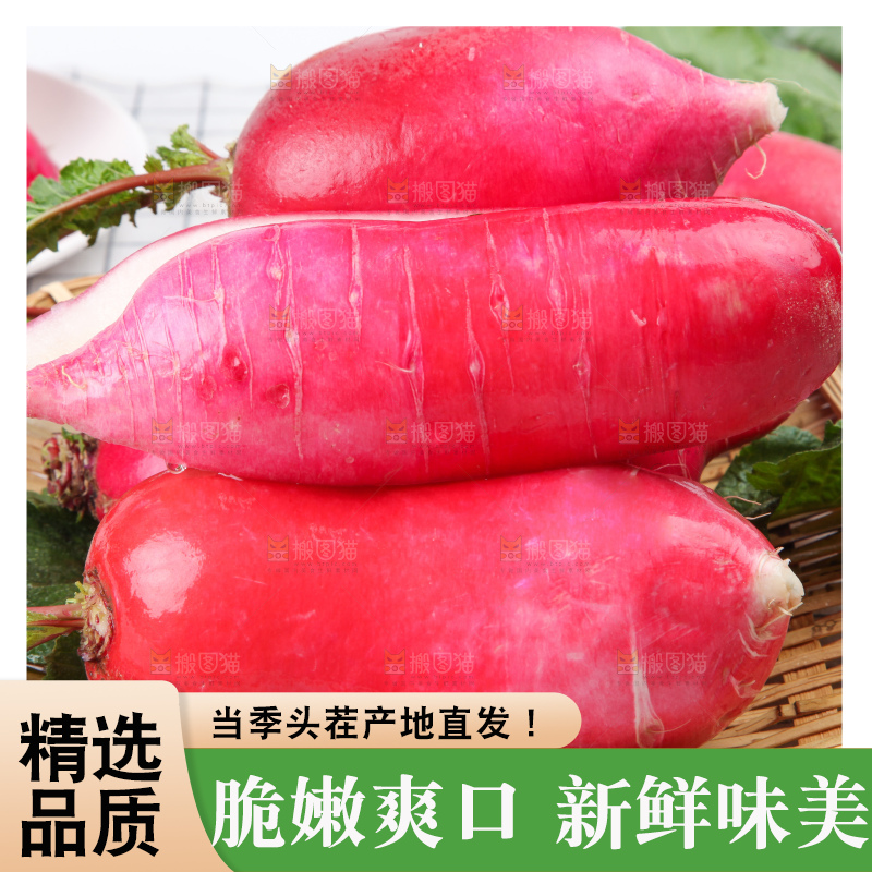 白格子底上的湖北红皮萝卜