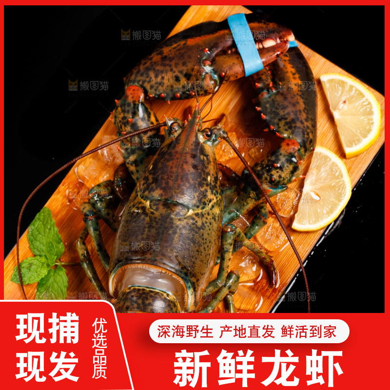 黑底上放着波士顿龙虾