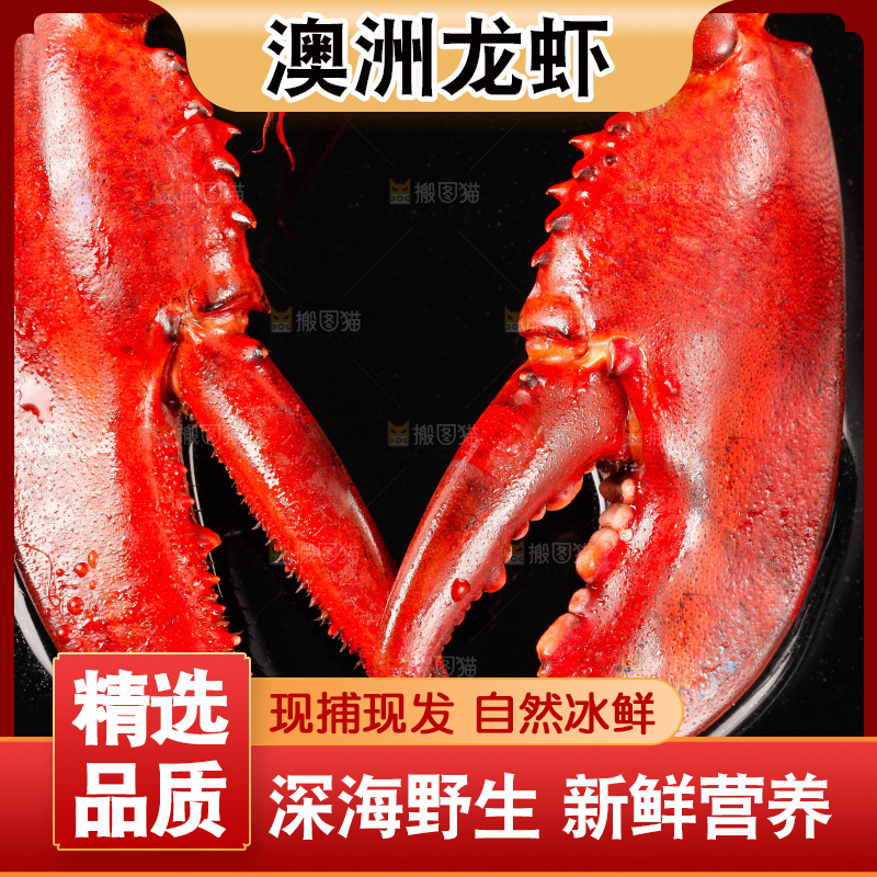 黑底上放着波士顿龙虾