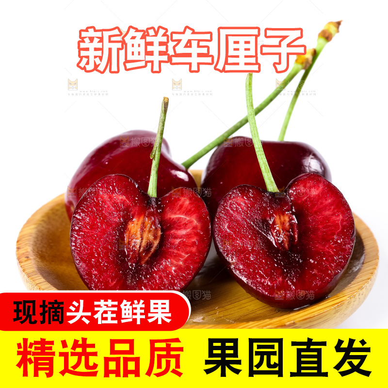 白底上的新鲜车厘子