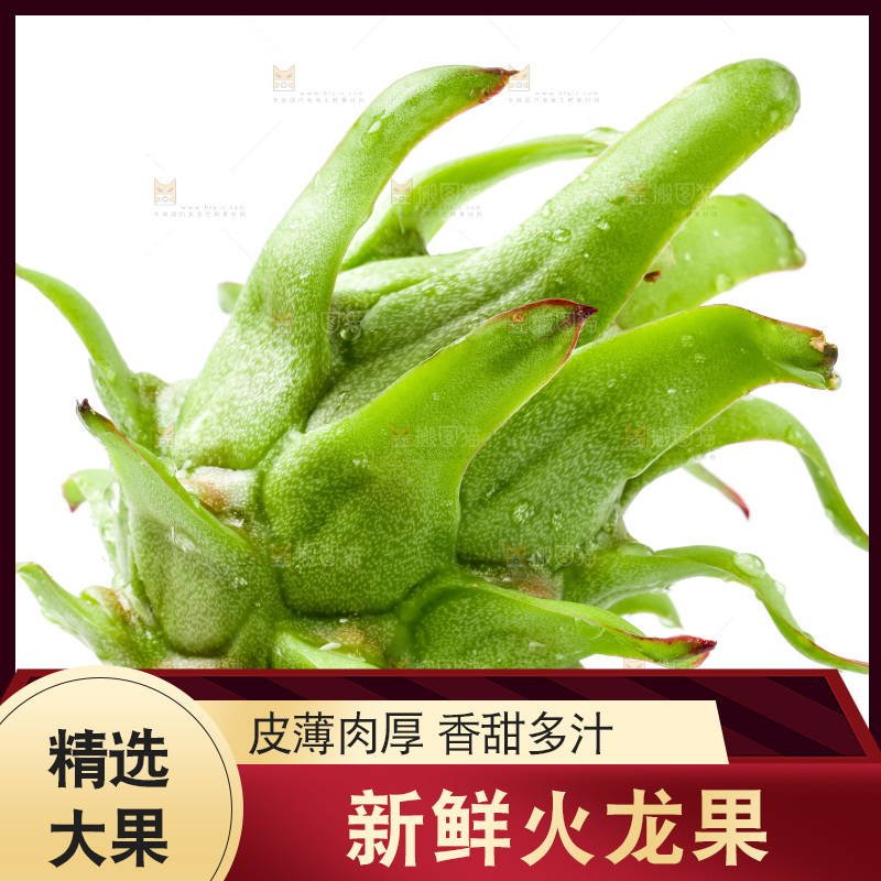 白底上的火龙果