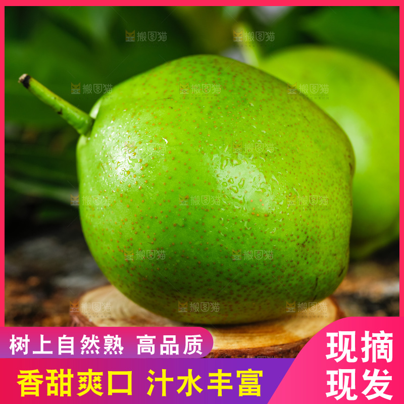 木底上放着陕西早酥梨