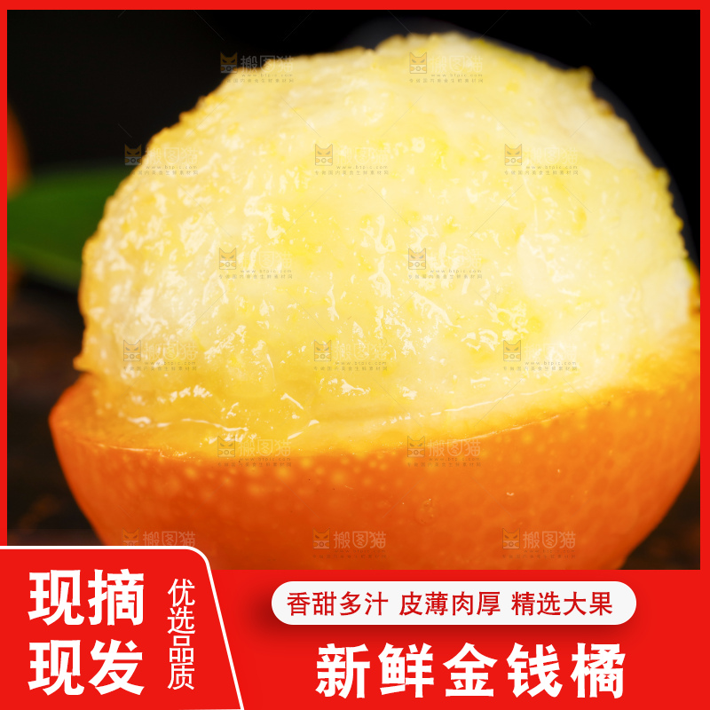 黑底上的小金桔