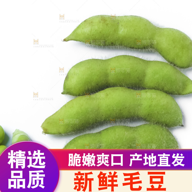 白底上的毛豆