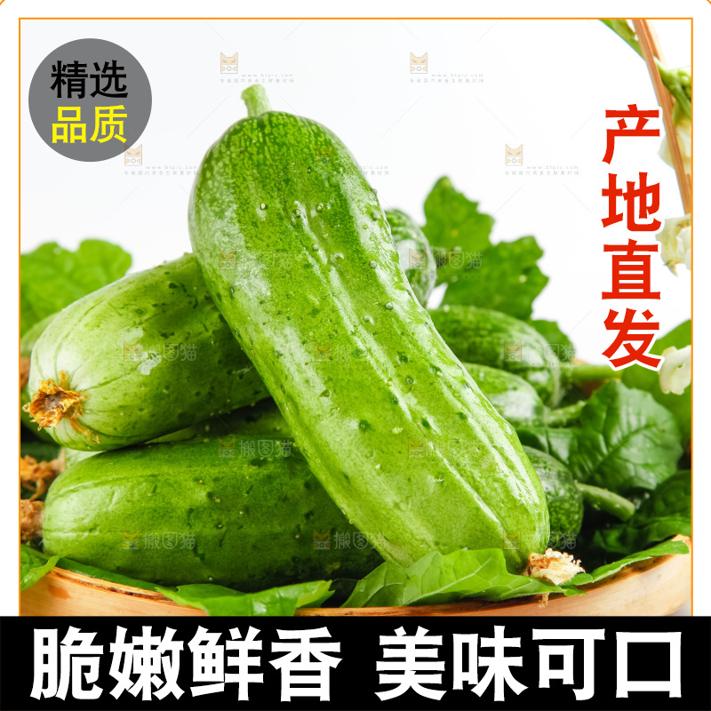 篮子里装着刺黄瓜