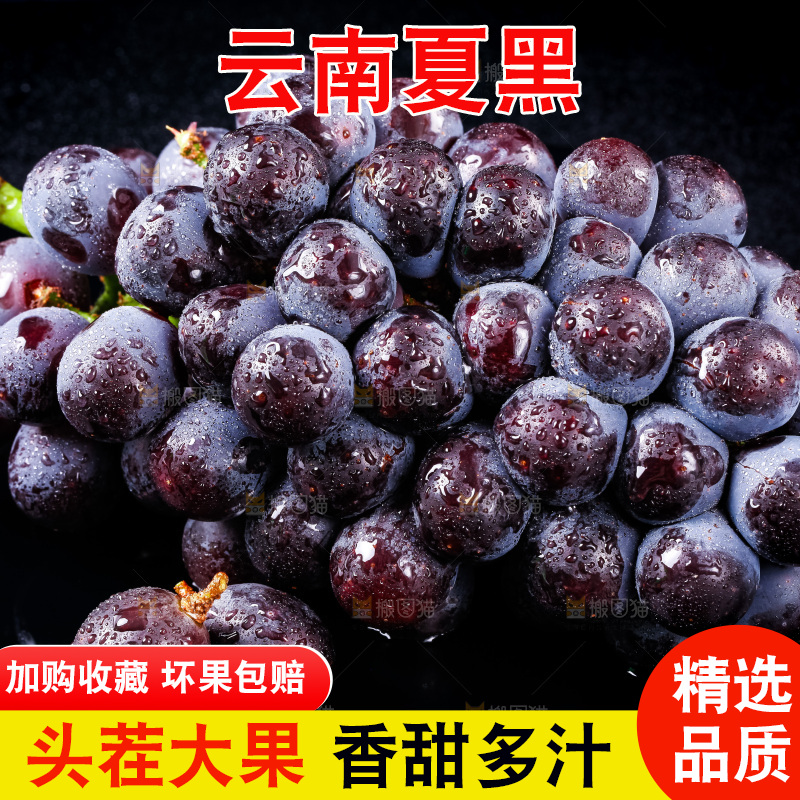 黑底上的夏黑葡萄