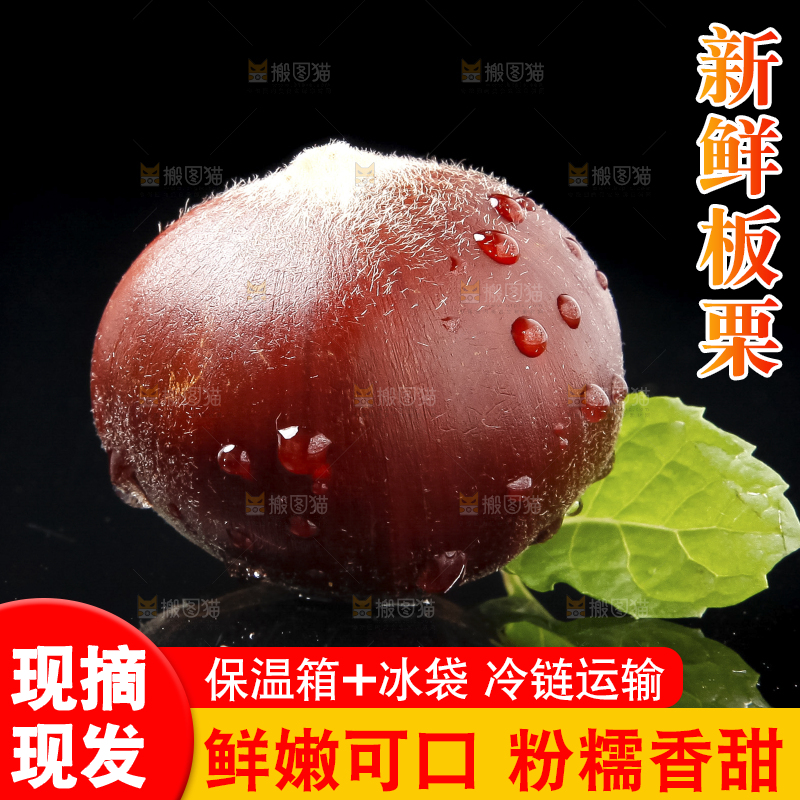 黑底上放着迁西板栗