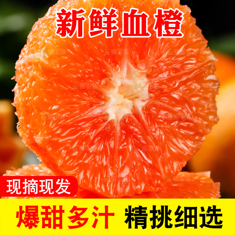 石板上的中华血橙